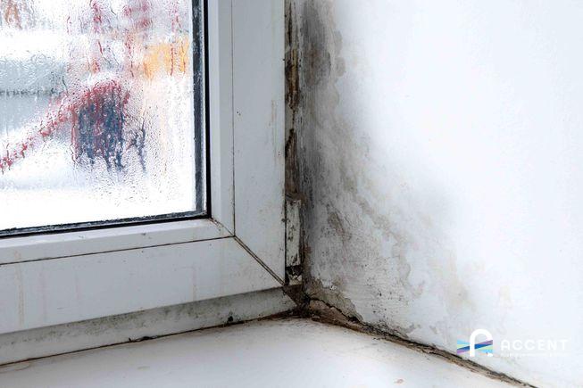 Black mold on window sills: Causes, treatment & prevention